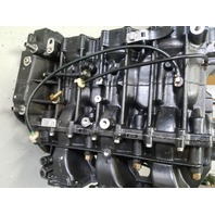 5006742 Evinrude 2006-07 ETEC Complete Cylinder Block 75 90 HP 3 Cyl FOR PARTS