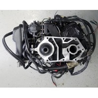 438067 Johnson Evinrude 1996-2001 Fully Dressed Powerhead 35 HP 3 Cyl