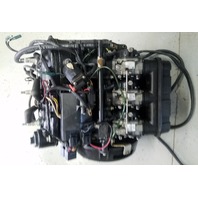 438067 Johnson Evinrude 1996-2001 Fully Dressed Powerhead 35 HP 3 Cyl