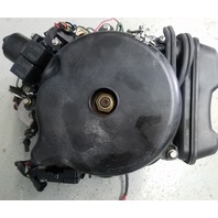 438067 Johnson Evinrude 1996-2001 Fully Dressed Powerhead 35 HP 3 Cyl