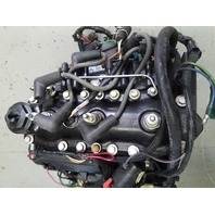 438067 Johnson Evinrude 1996-2001 Fully Dressed Powerhead 35 HP 3 Cyl
