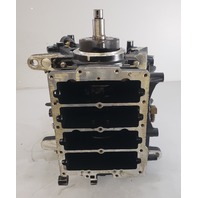 5005785 5007435 Evinrude Johnson 2007-2009 ETEC E-TEC Powerhead 115 130 HP V4