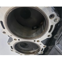 5005785 5007435 Evinrude Johnson 2007-2009 ETEC E-TEC Powerhead 115 130 HP V4