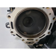 5005785 5007435 Evinrude Johnson 2007-2009 ETEC E-TEC Powerhead 115 130 HP V4