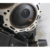 5005785 5007435 Evinrude Johnson 2007-2009 ETEC E-TEC Powerhead 115 130 HP V4