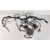 3858131 984036 OMC Inboard 1998 TBI Harness 4.3L