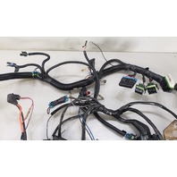 3858131 984036 OMC Inboard 1998 TBI Harness 4.3L