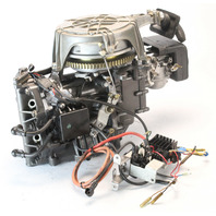 361B011002 Nissan Tohatsu 2004 Dressed Powerhead 40 HP