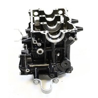 898101T42 Mercury 2006-10 Empty Cylinder Block 25 30 HP EFI 3 Cylinder 4 Stroke