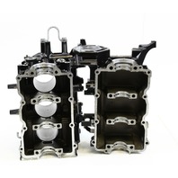 898101T42 Mercury 2006-10 Empty Cylinder Block 25 30 HP EFI 3 Cylinder 4 Stroke