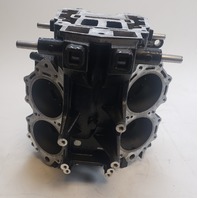 5007435 5005785 Evinrude 2007-2009 ETEC E-TEC Powerhead 115 130 HP REBUILDABLE