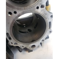 5007435 5005785 Evinrude 2007-2009 ETEC E-TEC Powerhead 115 130 HP REBUILDABLE