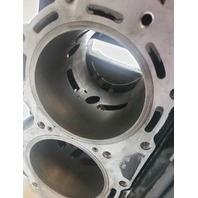 5007435 5005785 Evinrude 2007-2009 ETEC E-TEC Powerhead 115 130 HP REBUILDABLE
