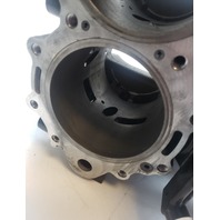 5007435 5005785 Evinrude 2007-2009 ETEC E-TEC Powerhead 115 130 HP REBUILDABLE