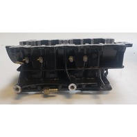 5007435 5005785 Evinrude 2007-2009 ETEC E-TEC Powerhead 115 130 HP REBUILDABLE