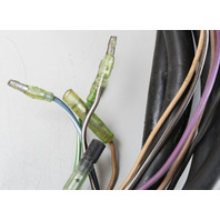 Mercury 16' External Wiring Harness W/ Key & 8 Pin Male Plug