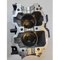 9727T12 881-9727T12 Mercury 1994-2006 Cylinder Block 9.9 15 HP 2 Cyl 2-Stroke