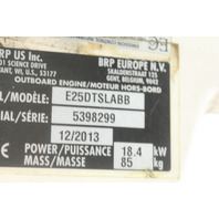 Evinrude 2009 & UP ETEC Swivel Bracket & Steering Arm W/ Yoke 15 25 30 HP 2 Cyl