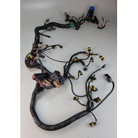 587041 0587041 Evinrude 2010 & UP ETEC Engine Wiring Harness 200 225 250 300 HP
