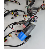 587041 0587041 Evinrude 2010 & UP ETEC Engine Wiring Harness 200 225 250 300 HP