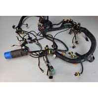 587041 0587041 Evinrude 2010 & UP ETEC Engine Wiring Harness 200 225 250 300 HP