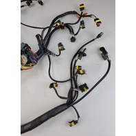 587041 0587041 Evinrude 2010 & UP ETEC Engine Wiring Harness 200 225 250 300 HP