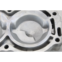 324319 Johnson Evinrude 1979-1981 Cylinder Head 25 35 HP 2 Cylinder