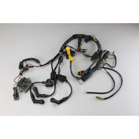 854781A2 Mercury 1999-2001 Wiring Harness & Coils 30 40 HP 4-Stroke 1 YEAR WTY!