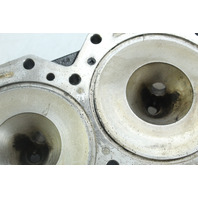 Evinrude 2009 2010 2011 & UP ETEC Cylinder Head 15 25 30 HP 2 Cylinder2 Stroke