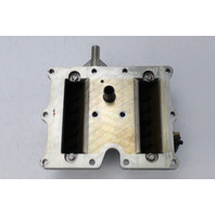 397336 5005279 Evinrude 2006 & UP Reed Valve & Plate Assembly 40 50 60 65 HP