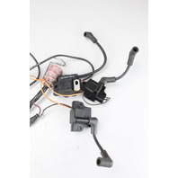 389254 394508 Johnson Evinrude 79-84 Motor Cable Wiring Harness & Coils 65 + HP