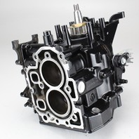 3V1B011000 Tohatsu 9.8 cylinder block powerhead MFS9.8A3