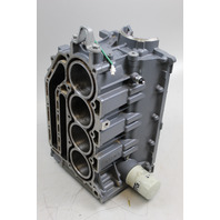 11300-92J40 Suzuki 2020 Powerhead Cylinder Block Assembly 100 115 + HP 4 Stroke