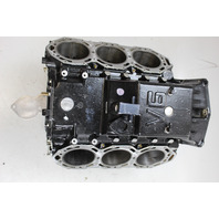 5005916 Evinrude Johnson 2005-2008 E-TEC Rebuildable Powerhead 200 225 250 HP V6