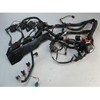 877804T04 Mercury Engine Wiring Harness W/ Coils & CDMs 40 50 60 HP EFI