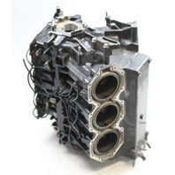 9811A19 Mercury 1994-1999 Rebuildable Powerhead Cylinder Block 225 250 HP EFI