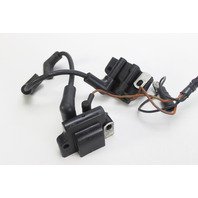 Johnson Evinrude 1989 - 2006 Plate & Sleeve W/ Dual Coils 4 6 8 + HP 1 YEAR WTY