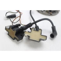 Johnson Evinrude 1989 - 2006 Plate & Sleeve W/ Dual Coils 4 6 8 + HP 1 YEAR WTY