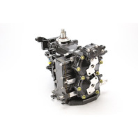 5008167 5008299 Evinrude ETEC 2010-12 Powerhead Cylinder Block 15 25 30 HP