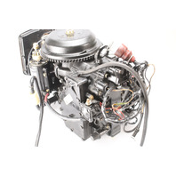 FULLY DRESSED 332401 Johnson Evinrude 1993-2005 Powerhead 40 + HP 2 Cylinder