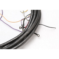 Johnson Evinrude OMC 20.5' External Wiring Harness W/ 10 Hole Red Plug OEM