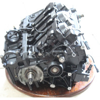 843034A07 Mercury 2004-2018 3.0L Optimax and ProXS Powerhead 200 225 250 HP DFI