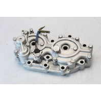 6E9-11111-00-1S 6E9-11111-00-94 Yamaha 1990-1997 Cylinder Head  40 HP