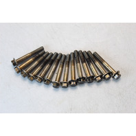 Johnson Evinrude 1968 - 1998 Set of 14 Head Bolt Screws 40 45 + HP