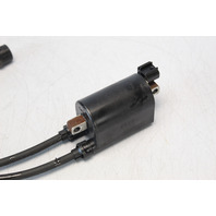 Suzuki 2001 2002 2003 - 2019 Ignition Coil DF 90 100 115 140 HP 1 YEAR WARRANTY