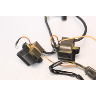 584561 582029 582452 Johnson Evinrude 1977-1982 Complete Ignition 9.9 15 HP 1 YR WTY