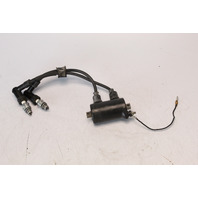 30500-881-004 Honda Pre 1997-07 Ignition & Primary Coil  7.5 10 HP 1 YR WARRANTY