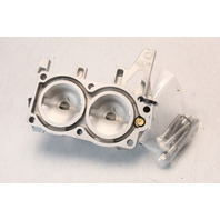 329919 395702 Johnson Evinrude 1974-1980 Cylinder Head & Cover 9.9 15 HP 2 Cyl