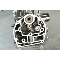 Mercury 2001 & UP Undressed Powerhead 40 50 60 HP 4-Stroke 4 Cylinder