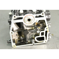 Nissan Tohatsu 2017 - 2022 Short Cylinder Block Powerhead 9.9 15 20 HP EFI